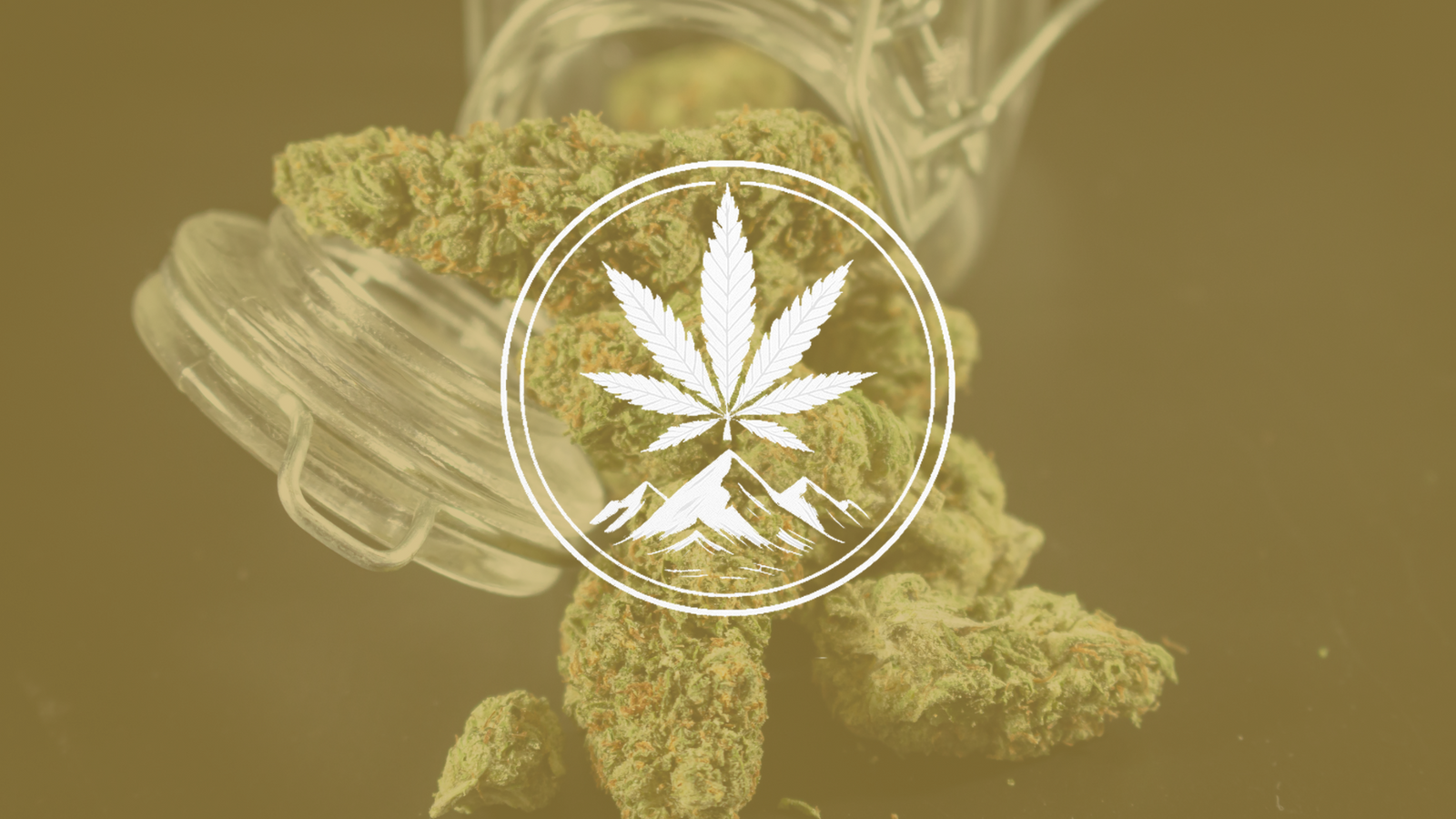 Why THC% Isn’t Everything — What Actually Makes Your High Better