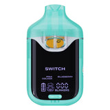 Boutiq Switch V4 2G Disposable Vape
