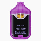 Boutiq Switch V4 2G Disposable Vape